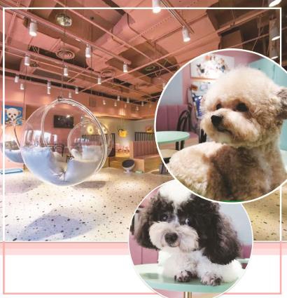 80607_p25.jpg 80607_p25.jpg