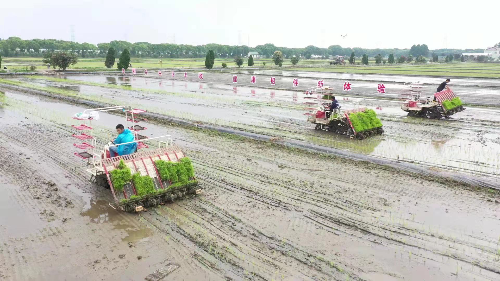 明日2.jpg 明日2.jpg