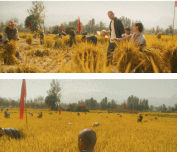 截屏2021-07-10 下午9.16.37.png