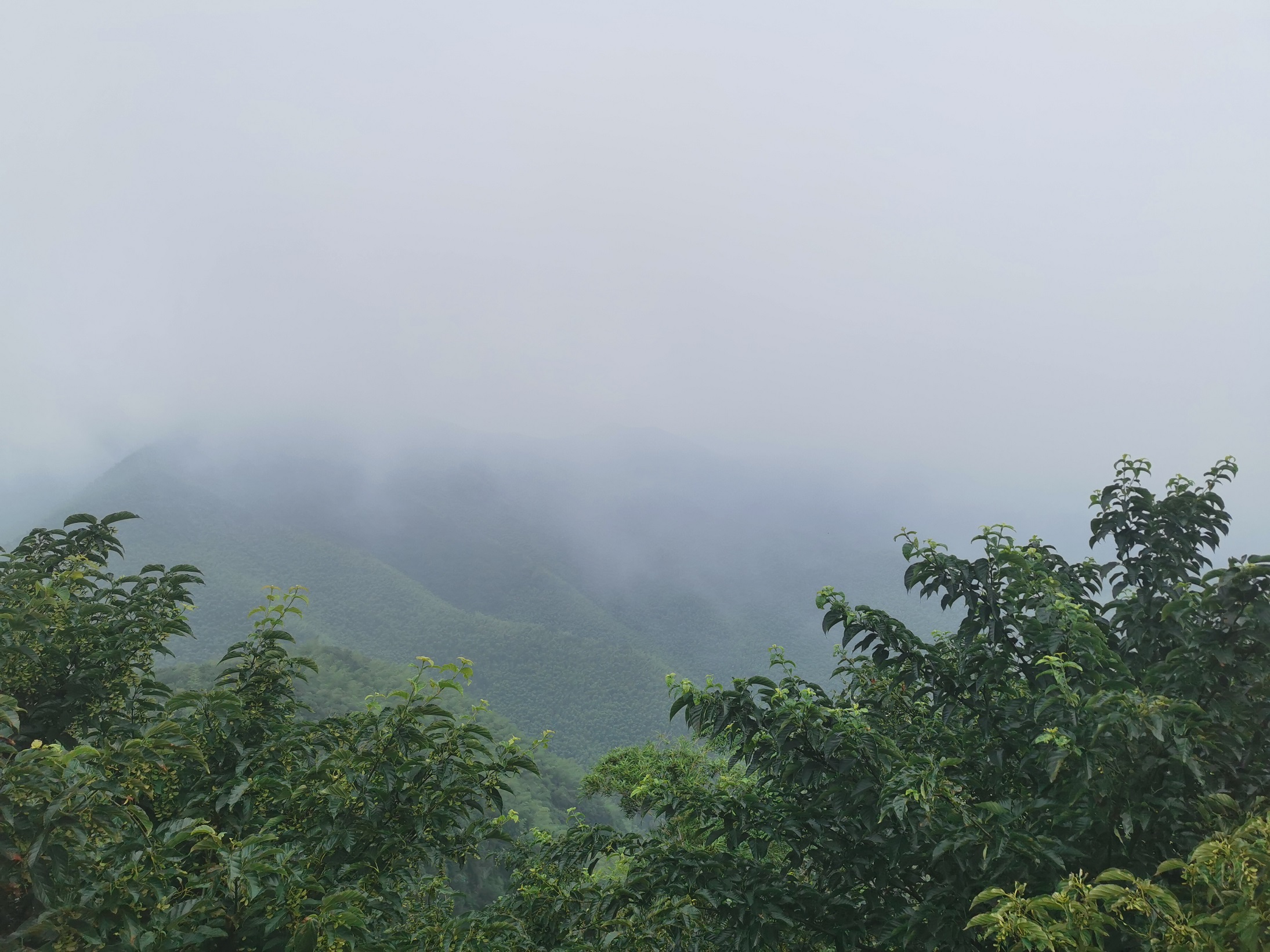 张蛰：下雨了，人还在山里。.jpg