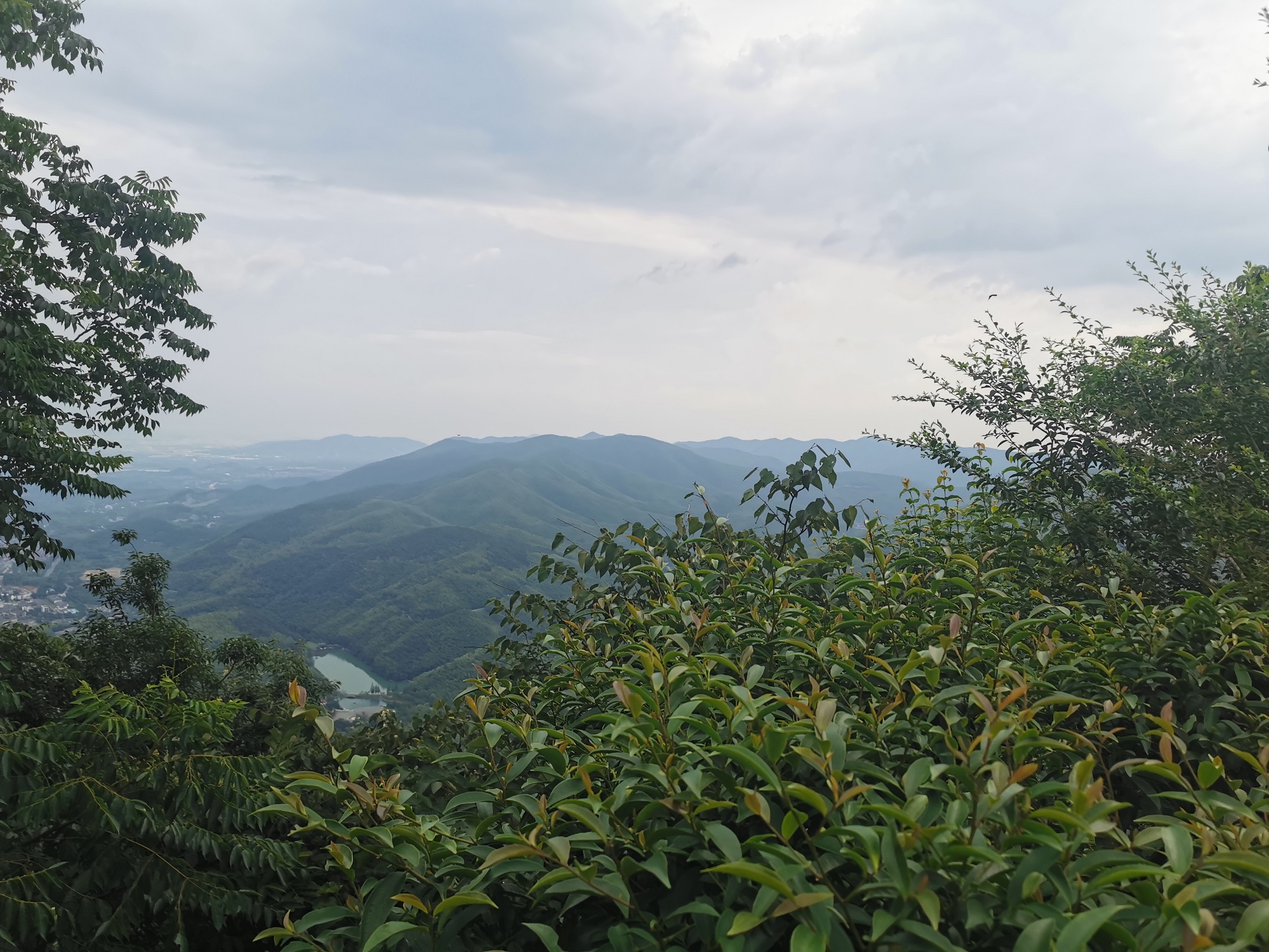 张蛰：山里远眺.jpg