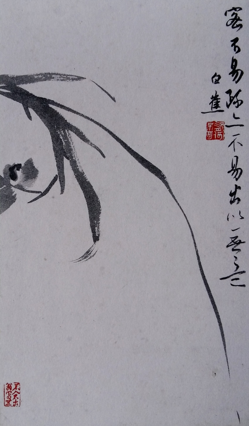 唐吉慧配图：白蕉绘兰（选自何民生编《白蕉书画遗珍—兰花册页》）.jpg