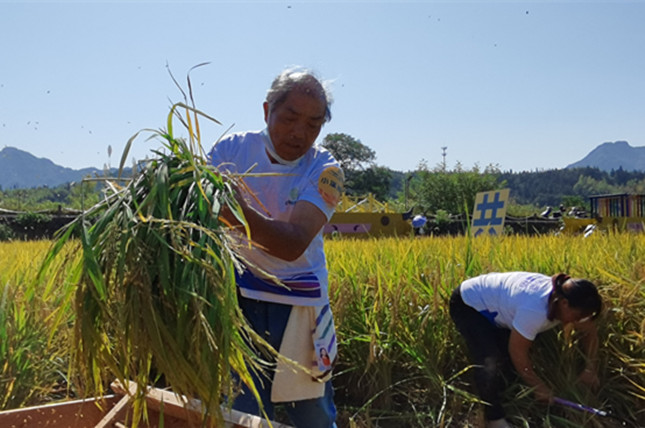 nei  fbed5f02dfcacc3c_副本.jpg