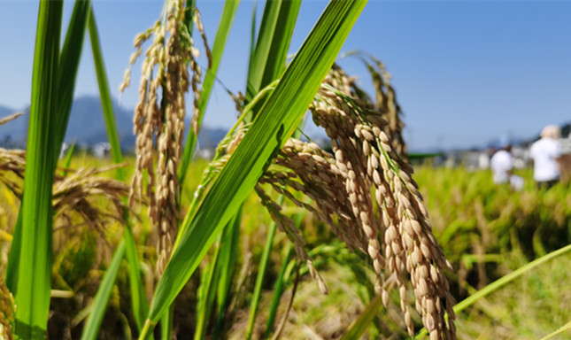 nei  4fcb5e3a3b049a_副本.jpg