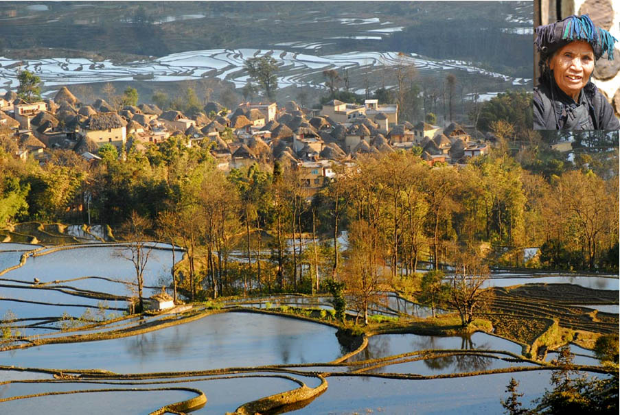 元阳红米.jpg