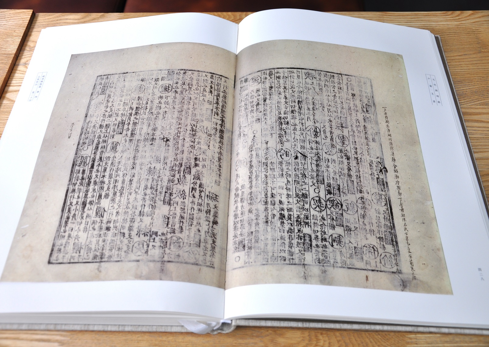 DSC_0768 1.jpg DSC_0768 1.jpg