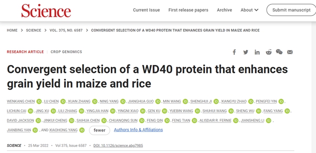 玉米压题副本.jpg 玉米压题副本.jpg