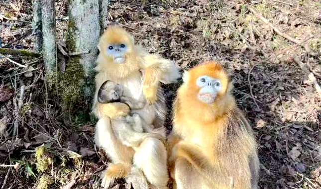 神压题.jpg 神压题.jpg