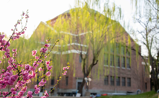 清华大学.jpg 清华大学.jpg