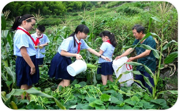 嘉定郊野公园“一亩试验田，三分自留地”课程.jpg