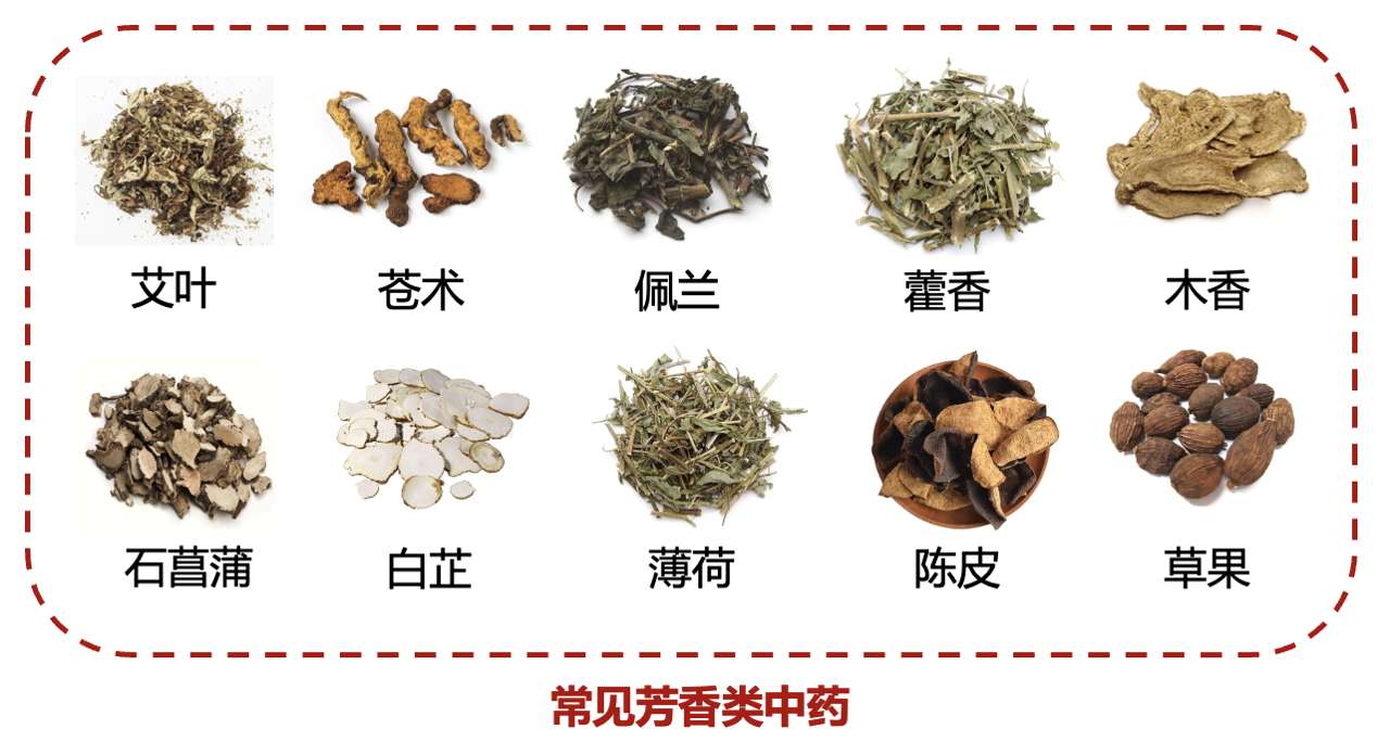 图片包含 日程表 描述已自动生成