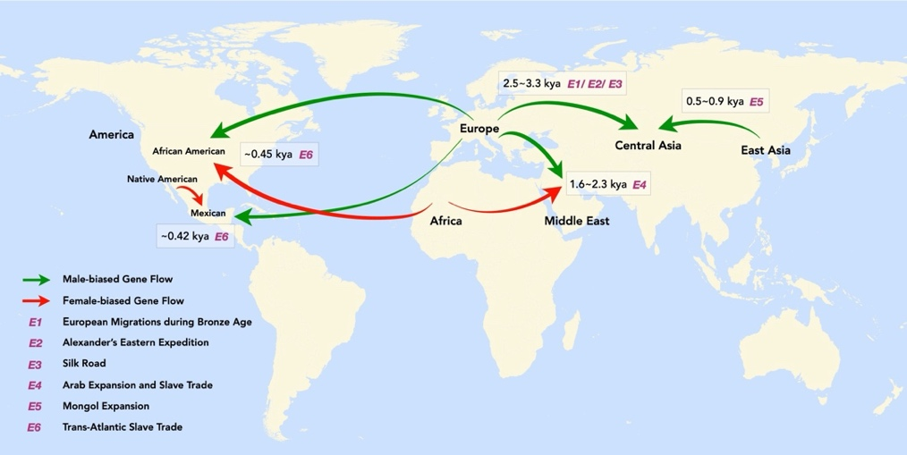 算法流程图图3.png
