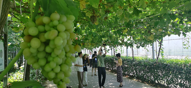内 21e0bca34ea1e3886_副本.jpg