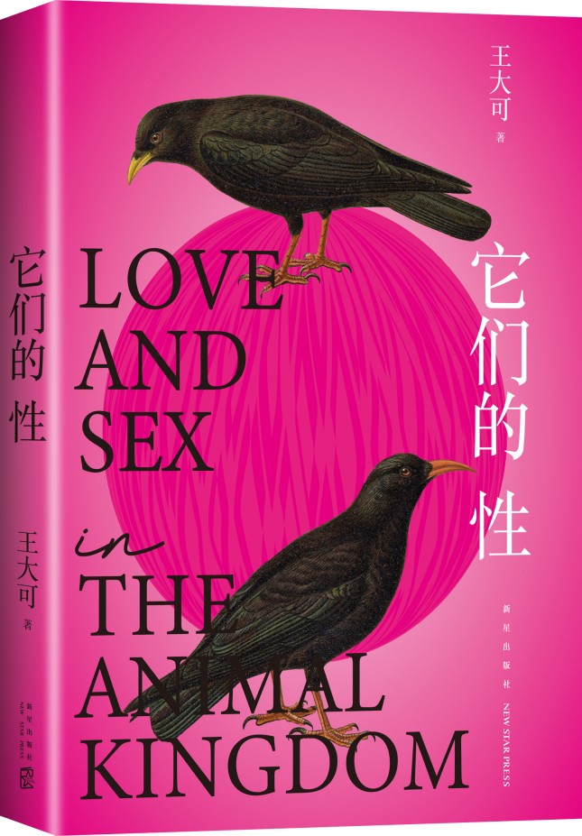 立体.jpg