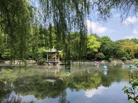 在上海近代公园中寻访中国造园精神