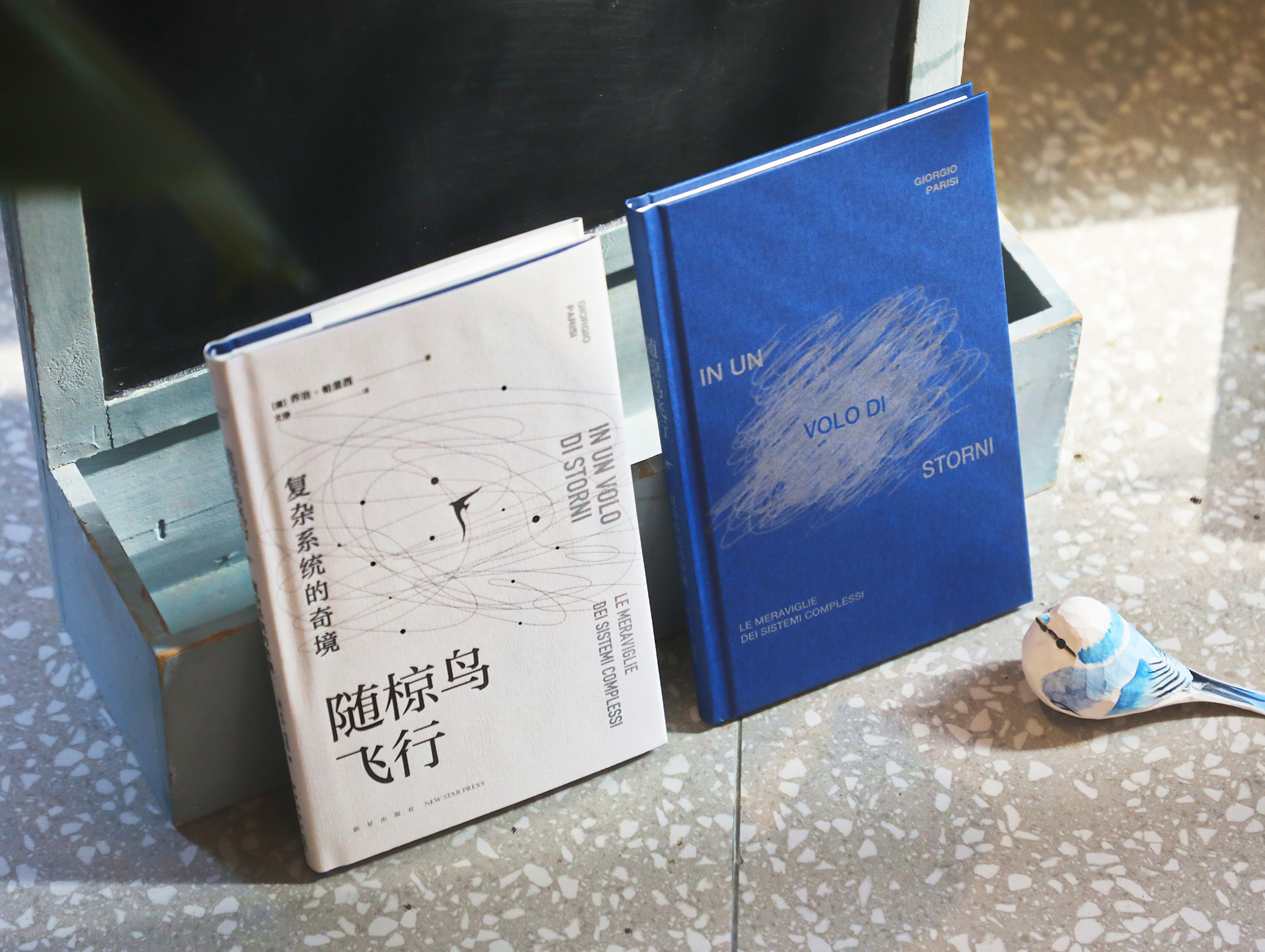DT2A1355 (1).jpg