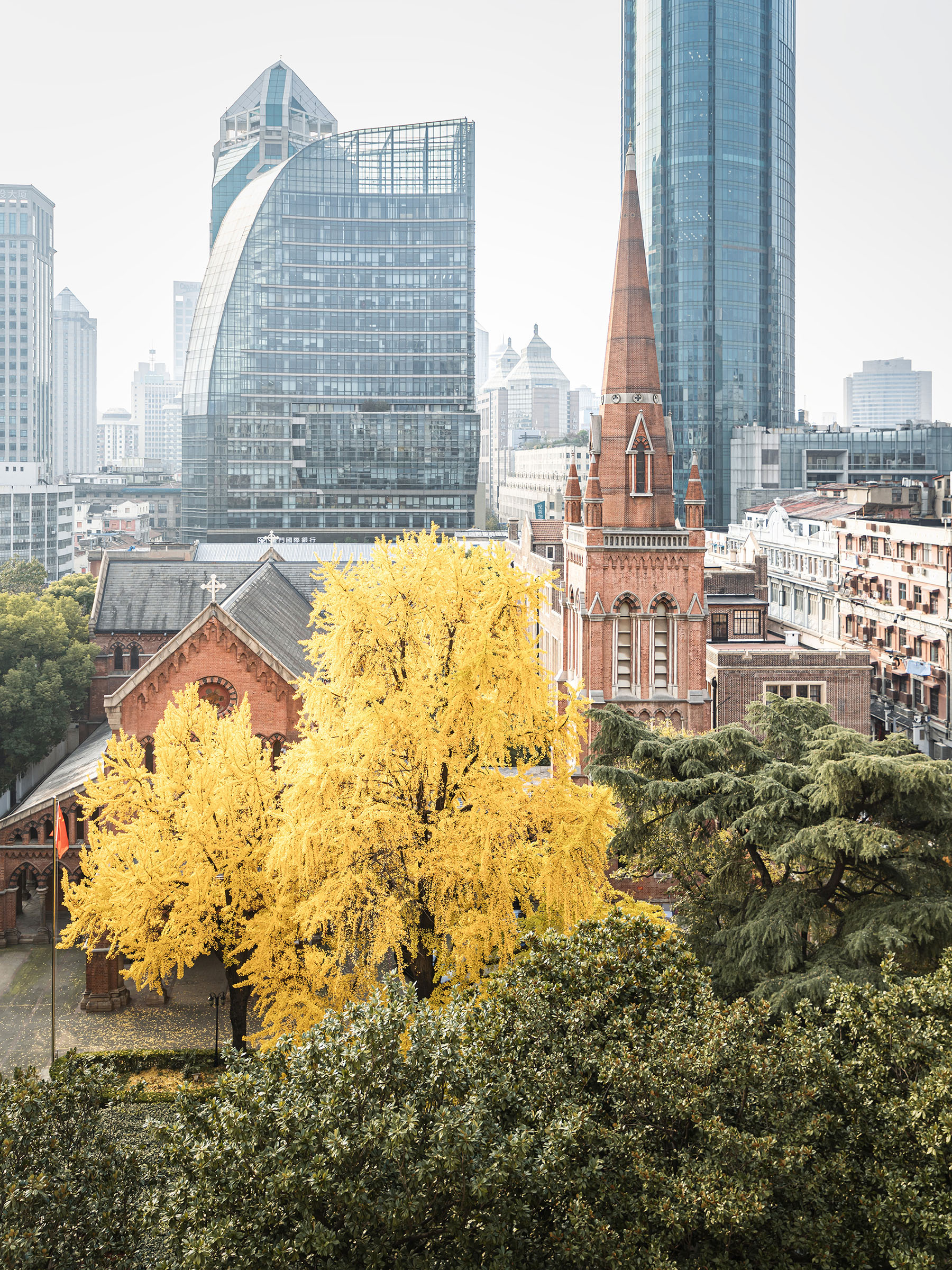 上海-圣三一教堂-银杏树 2.jpg