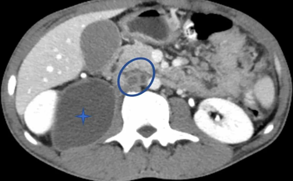 屏幕快照 2023-02-22 上午8.52.17.png 屏幕快照 2023-02-22 上午8.52.17.png