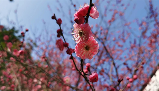 内  2a6f98c78257_副本.jpg