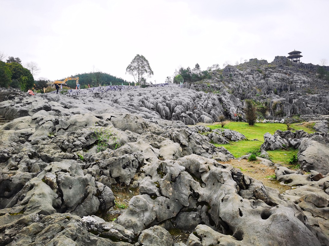 微信图片_20230321161111.jpg 微信图片_20230321161111.jpg