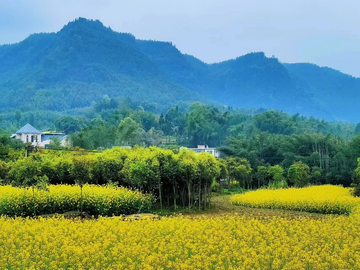 微信图片_20230321162046.jpg 微信图片_20230321162046.jpg