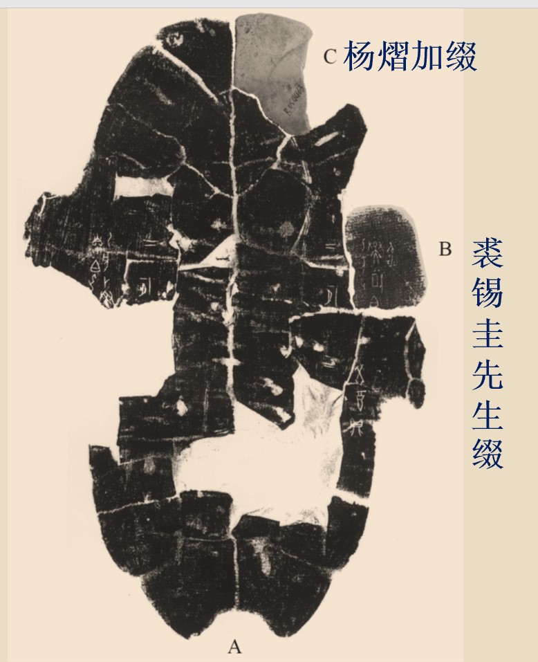jiazhui2.jpg