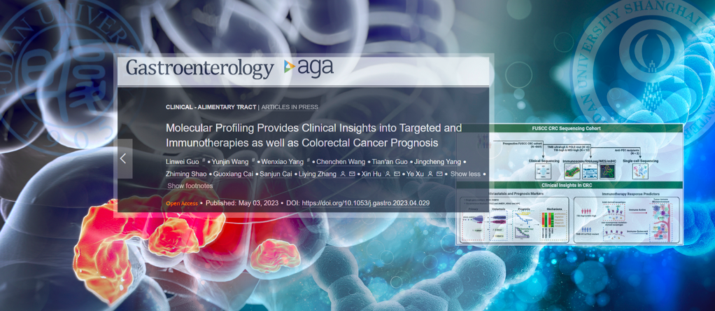 屏幕快照 2023-05-06 下午6.19.13.png