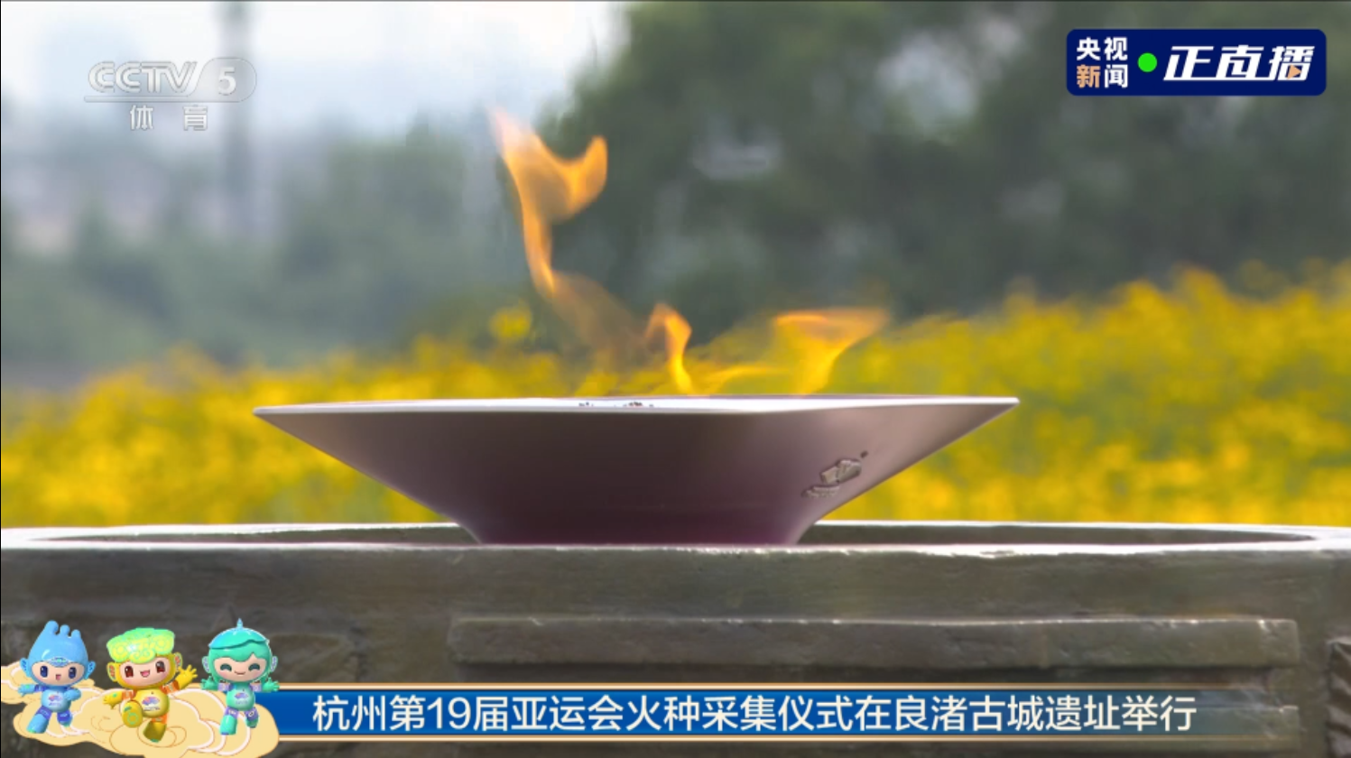 35f98d82d02f4a92b941a265af9cfa3f.png 35f98d82d02f4a92b941a265af9cfa3f.png