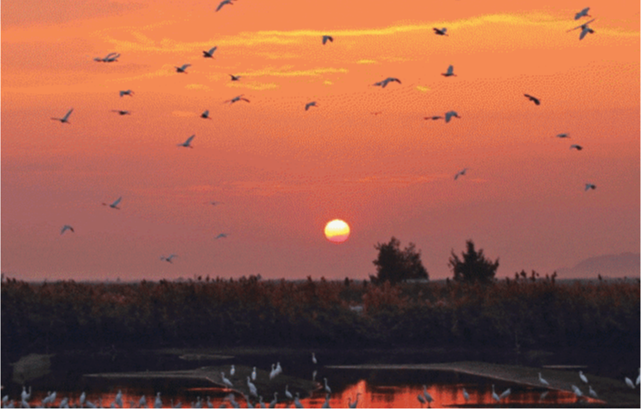 截屏2023-07-04 18.22.34.png