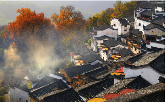 截屏2023-09-01 22.54.23.png